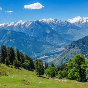 untitled design 2025 12 19t004617.349